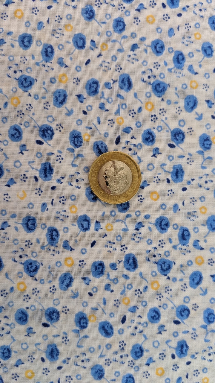 Ditsy Blue Floral Cotton 1.65m