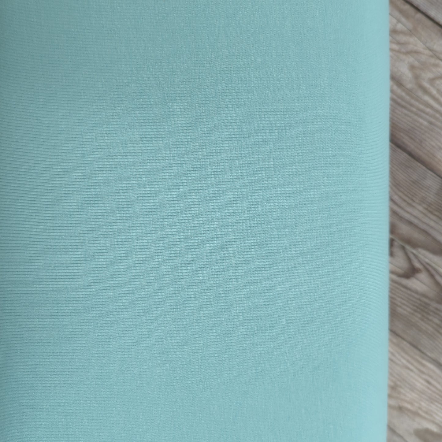 Plain Powder Blue Cotton Jersey