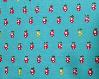 Berry Cotton Jersey on Turquoise