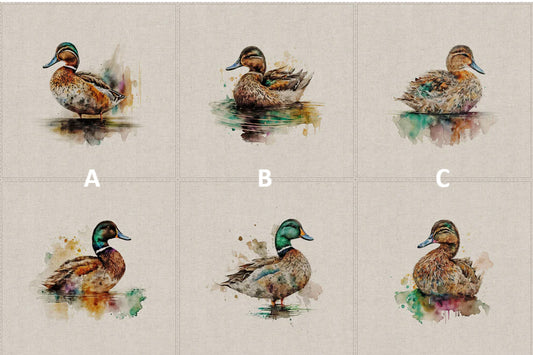 Duck Panels