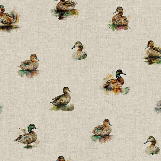 Ducks All Over
