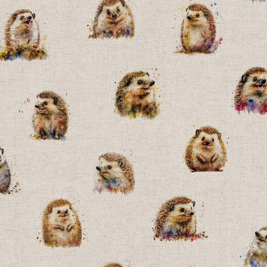 Hedgehogs All Over