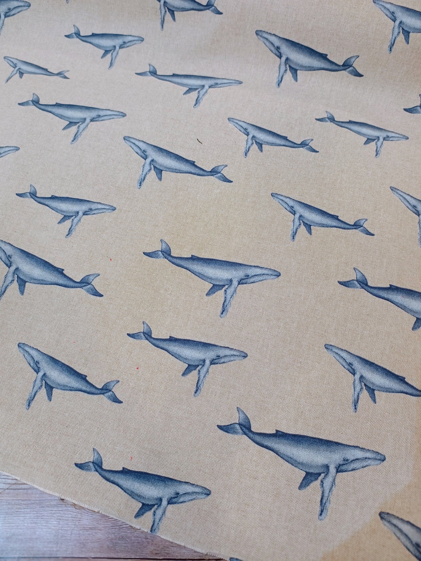Humpback Whales Canvas