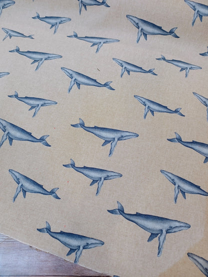 Humpback Whales Canvas
