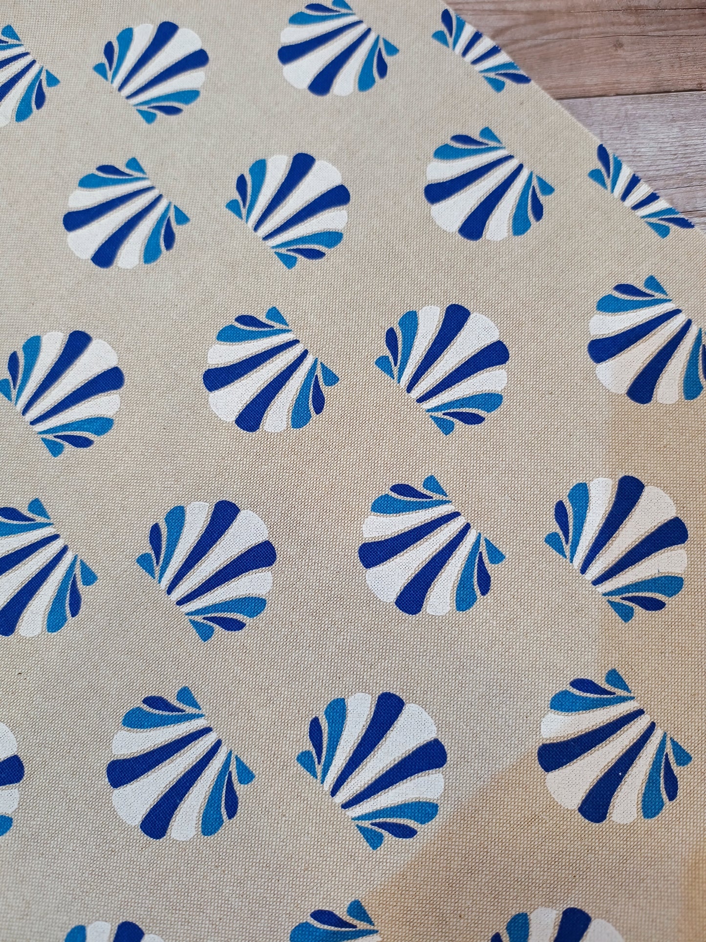 Seashells Canvas