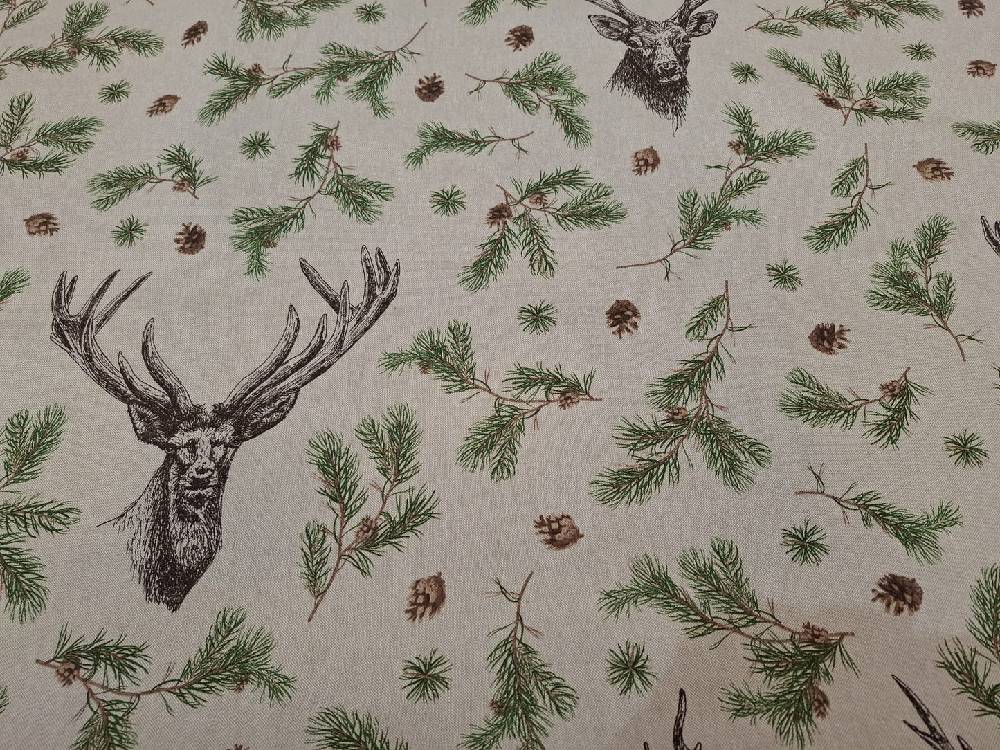 Stags Head Canvas