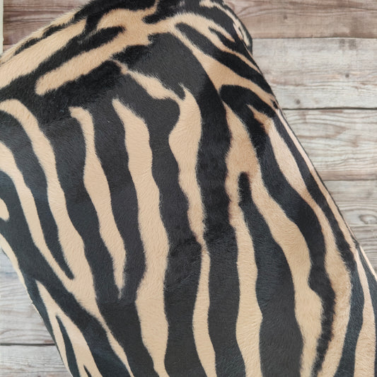 Antelope Velboa