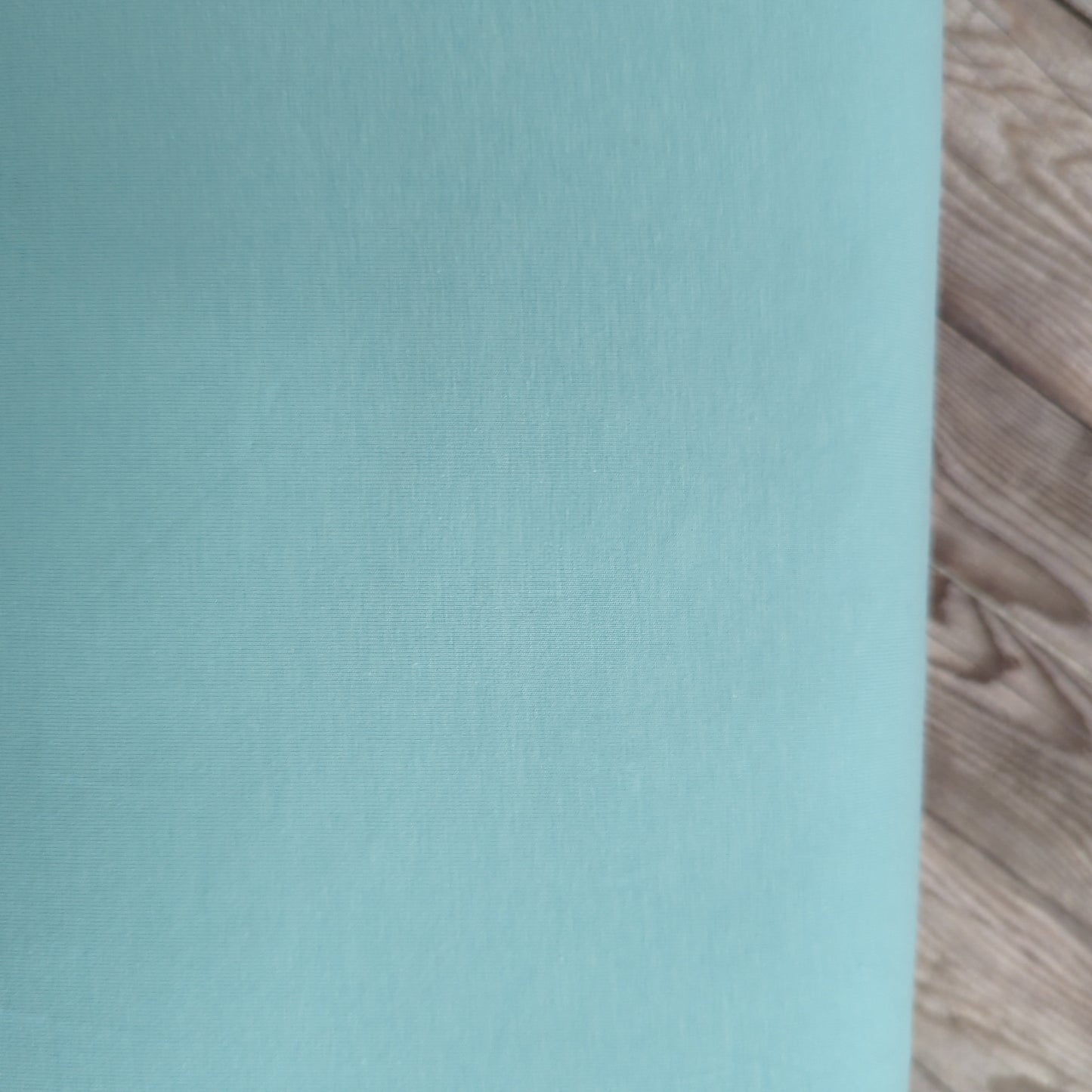 Plain Powder Blue Cotton Jersey